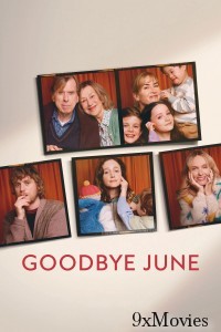 Goodbye June (2025) ORG Hindi Dubbed Movie