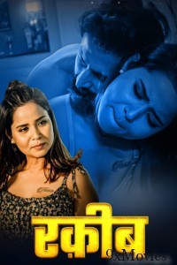 Raqeeb (2025) S01 Part 1 Pullapp Hindi Hot Web Series