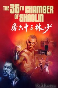 The 36Th Chamber Of Shaolin (1978) ORG Hindi Dubbed Movie