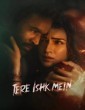 Tere Ishk Mein (2025) Hindi Movie