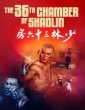 The 36Th Chamber Of Shaolin (1978) ORG Hindi Dubbed Movie